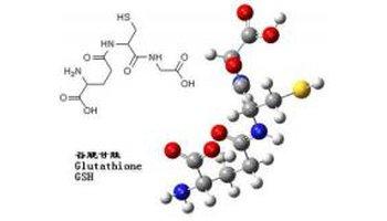 谷胱甘肽是什么？谷胱甘肽的好處和存在形式谷胱甘肽