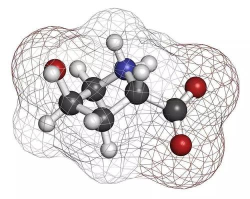 什么是小分子多膠原蛋白肽？小分子多肽膠原蛋白肽有什么作用？