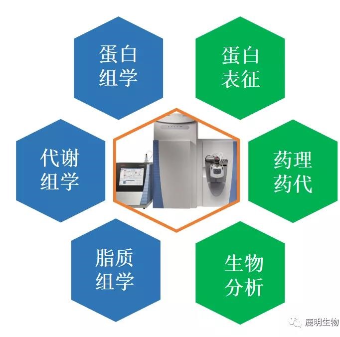 生物藥定性分析檢驗（蛋白質(zhì)、多肽）、臨床醫(yī)學前DMPK科學研究及微生物剖析、生物藥