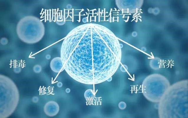 肽的分類有哪些？如何區(qū)分小分子小分子活性肽的好壞