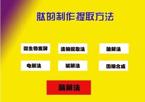 肽的分類有哪些？如何區(qū)分小分子小分子活性肽的好壞