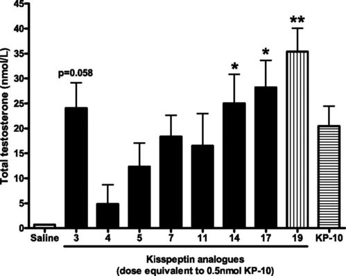 Kisspeptin-10在乳腺癌骨轉(zhuǎn)移和骨毀壞中的功效及機(jī)制研究