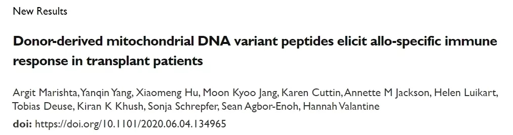 供體線(xiàn)粒體DNA來(lái)源于的多肽引起移殖病人的同種異體免疫反應(yīng)