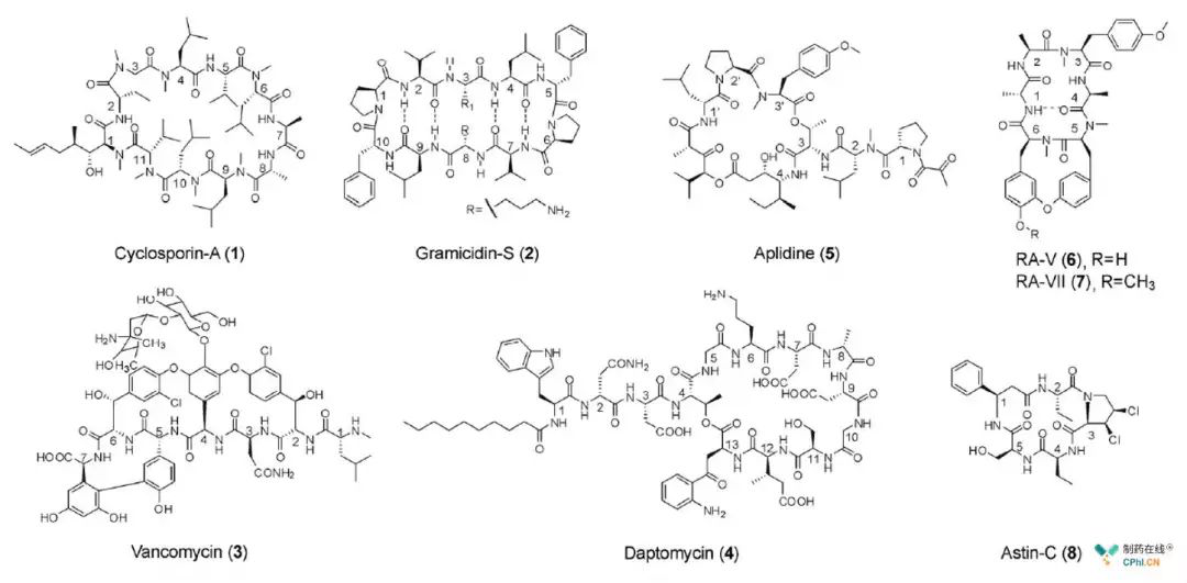 淺談環(huán)肽類分子藥物開發(fā):值得深耕的藥物領(lǐng)域