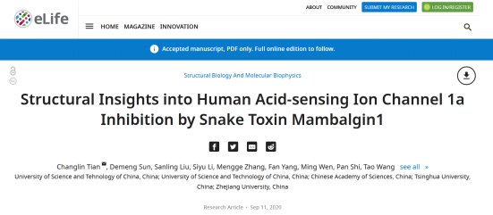 《elife》：非洲黑曼巴蛇毒多肽特異性識別并抑制疼痛以及相關(guān)人源酸敏感通道的結(jié)構(gòu)基礎(chǔ)