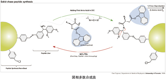 固相合成多肽的研究進(jìn)展及展望一起來(lái)了解一下吧