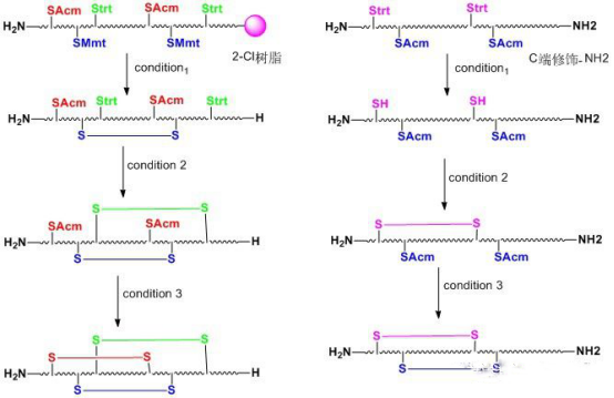 肽對二硫鍵的環(huán)化技術