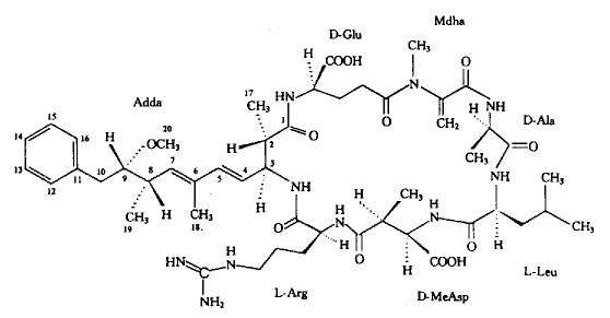 蜈蚣為什么傷人，原來(lái)是多肽分子搞的鬼