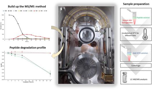 藥妝多肽對蛋白酶活性的敏感性:通過液相色譜-質(zhì)譜/質(zhì)譜分析進(jìn)行皮膚穩(wěn)定性試驗(yàn)