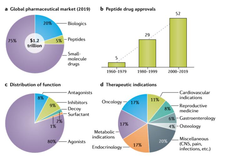 《自然》雜志：發(fā)現(xiàn)多肽藥物有什么趨勢(shì)？