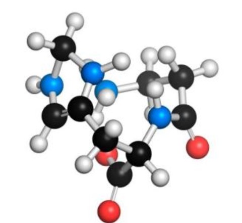 L-肌肽對皮膚的作用與功效，你知道多少？