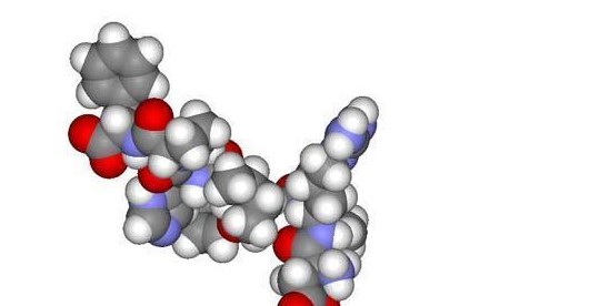 有關(guān)多肽肌膚護(hù)理，你需要了解的一切！