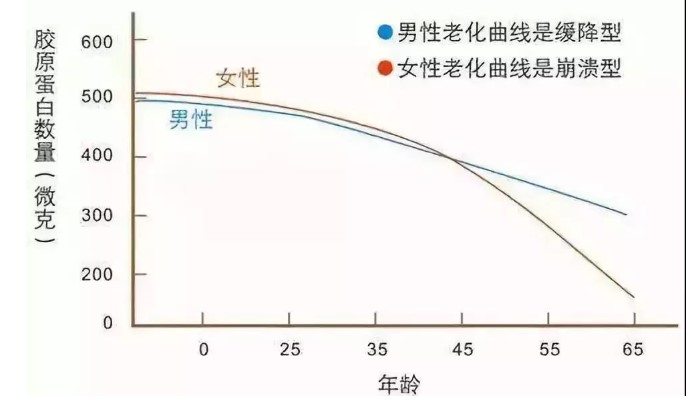 膠原蛋白是啥?？為什么說它很重要？本文給大家答案