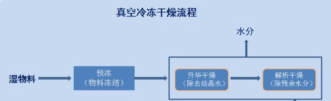 凍干粉走紅，凍干技術有目共睹