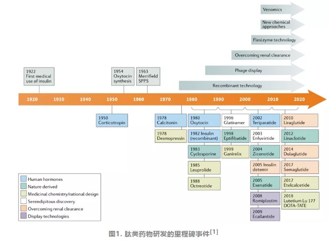 肽類(lèi)藥的研發(fā)進(jìn)度,你知道嗎？