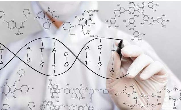 有些人說沒有肽就沒有生命 ，這一說法對(duì)不對(duì)，為什么會(huì)那么說？