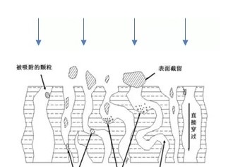 如何提高抗體純化高效率？?今日聊一聊離心、過(guò)濾