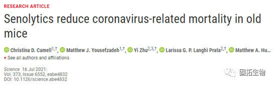在臨床前動(dòng)物中，抗衰老藥物可降低冠狀病毒相關(guān)的死亡率