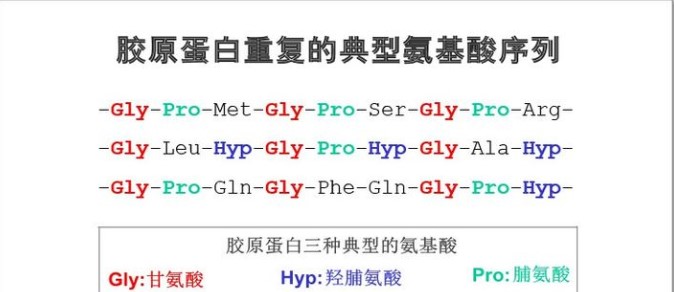 3種典型性氨基酸在膠原蛋白生成中的功效