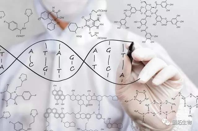 有人說沒有肽就沒有生命，這個(gè)說法對(duì)嗎，為什么會(huì)這么說？