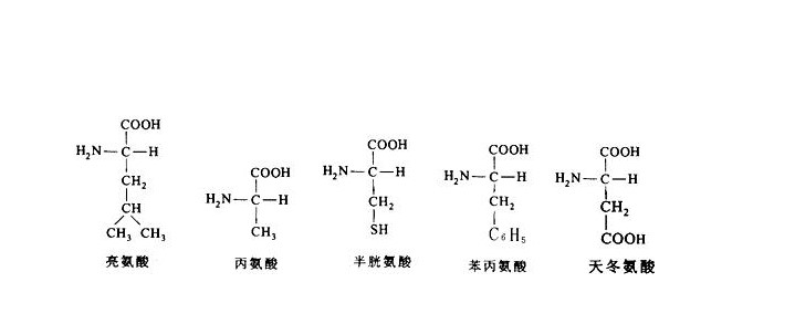 非天然氨基酸的應(yīng)用現(xiàn)狀和前景