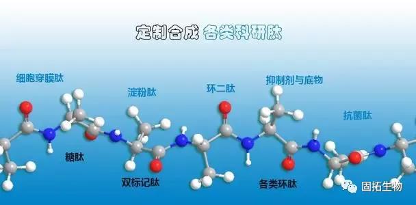 固拓生物-多肽合成為什么要去除TFA？