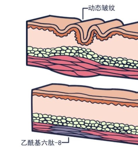 我是美容護(hù)膚多肽?，一個(gè)?平平無奇的成份小天才