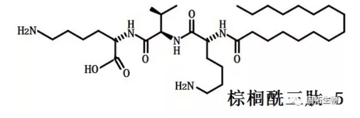 化妝品多肽棕櫚酰三肽-5性質(zhì)、用途與生產(chǎn)工藝