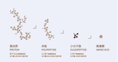 無需氨基酸就能合成多肽，是否有望解釋生命起源？