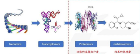 什么是生物標(biāo)志物？如何對多肽進(jìn)行生物標(biāo)志物鑒定？