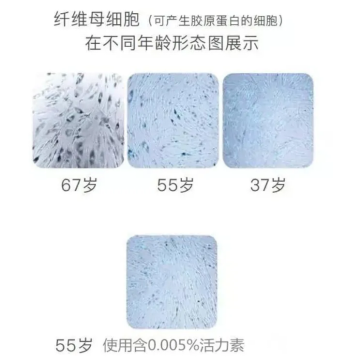 乙?；?7對皮膚的作用機理