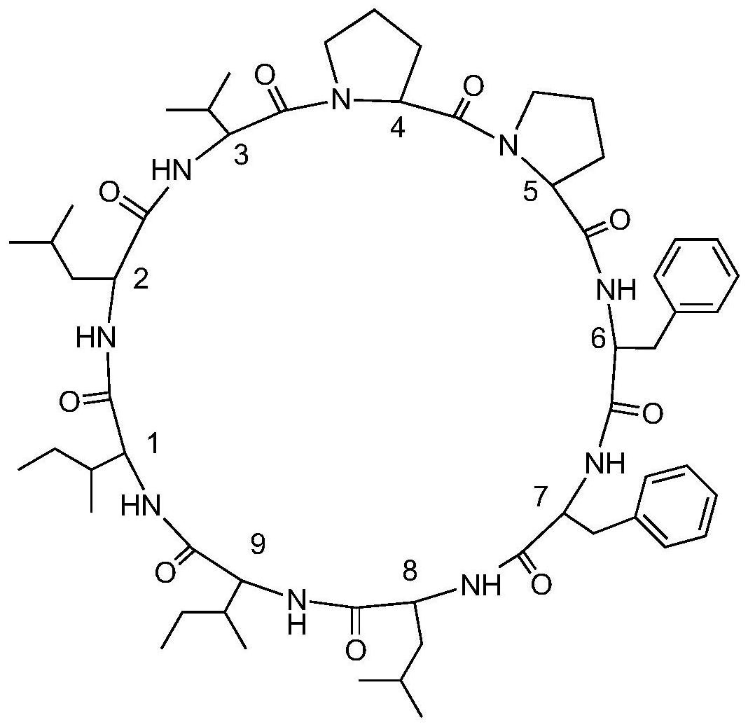 環(huán)肽類藥物的未來(lái)發(fā)展方向