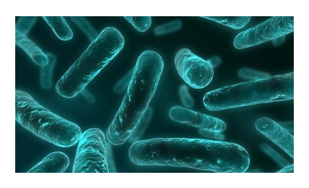 了解抗菌肽分類、功能機(jī)制和生物性能機(jī)制